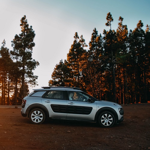 Deluxe online shop | Pežo Citroen delovi